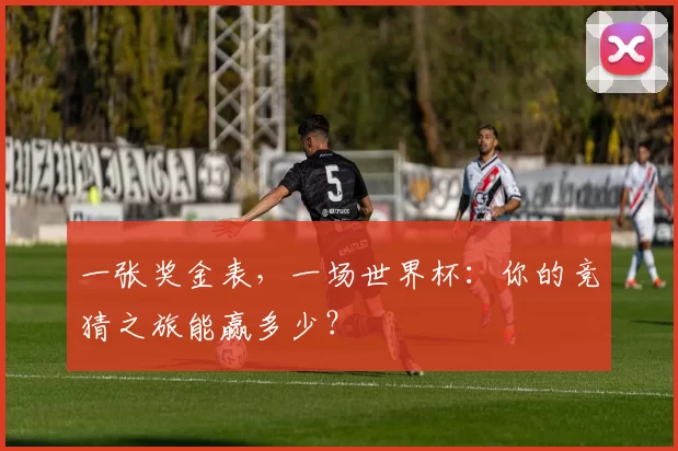 一张奖金表，一场世界杯：你的竞猜之旅能赢多少？