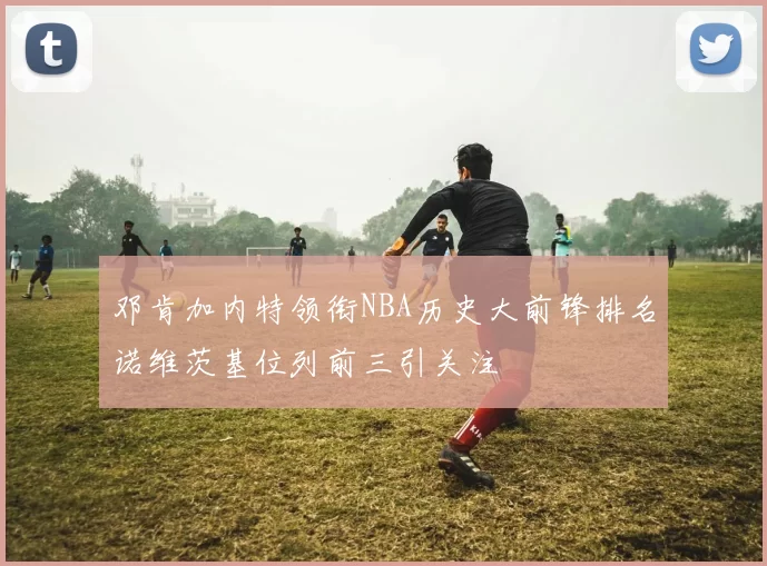 邓肯加内特领衔NBA历史大前锋排名诺维茨基位列前三引关注