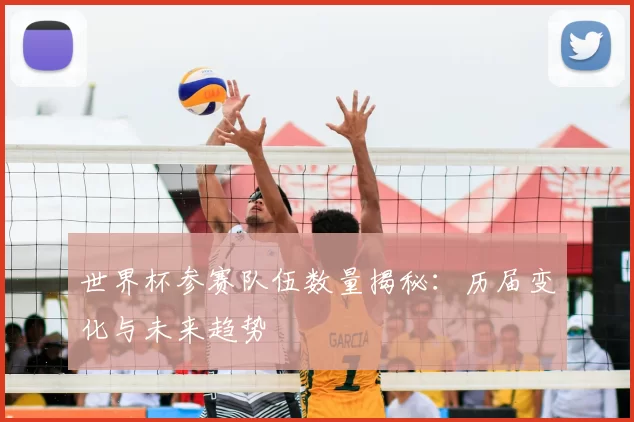 世界杯参赛队伍数量揭秘：历届变化与未来趋势