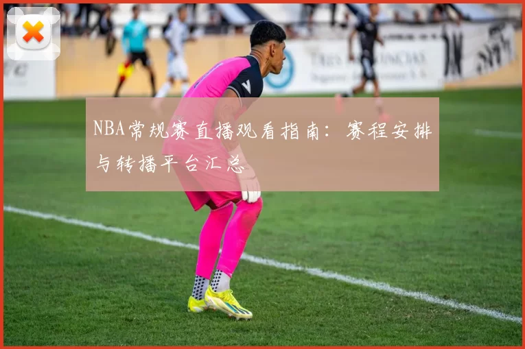 NBA常规赛直播观看指南：赛程安排与转播平台汇总