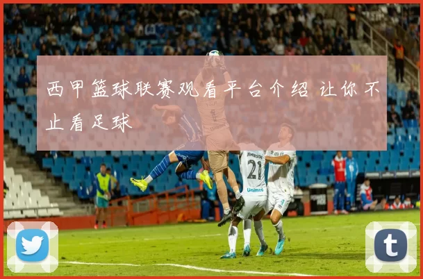 西甲篮球联赛观看平台介绍 让你不止看足球