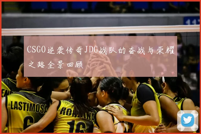 CSGO逆袭传奇JDG战队的奋战与荣耀之路全景回顾