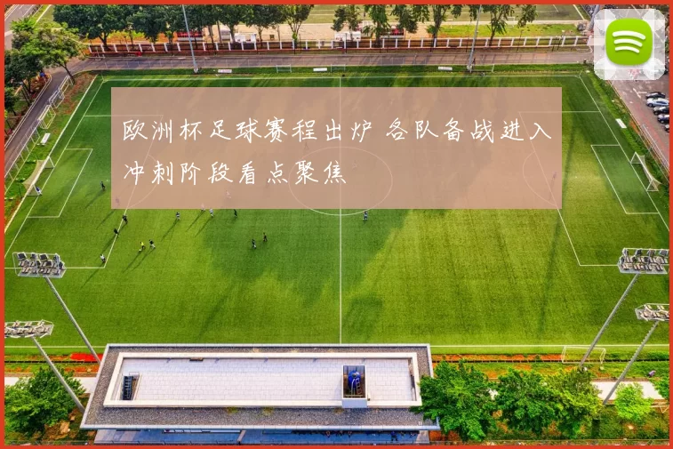 欧洲杯足球赛程出炉 各队备战进入冲刺阶段看点聚焦