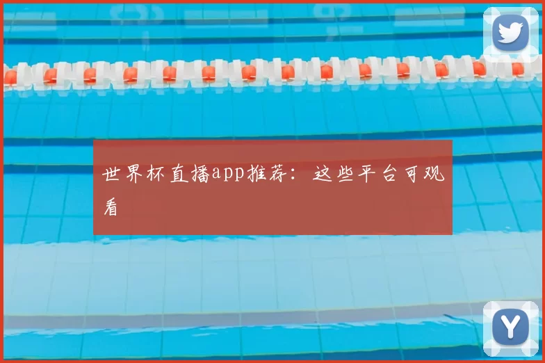 世界杯直播app推荐:这些平台可观看