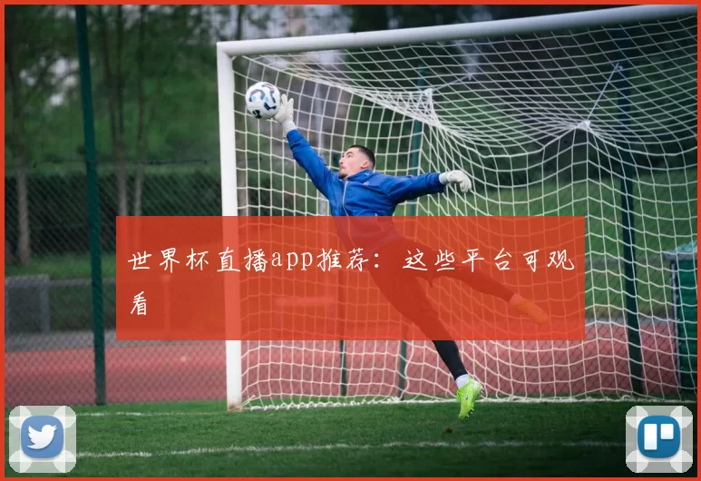 世界杯直播app推荐:这些平台可观看