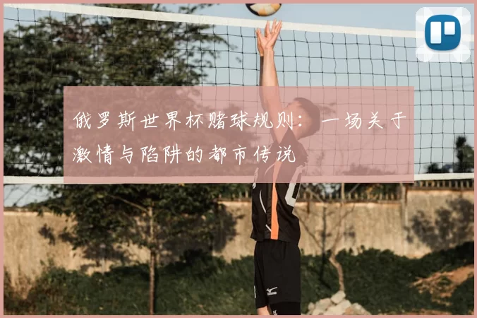 俄罗斯世界杯赌球规则：一场关于激情与陷阱的都市传说