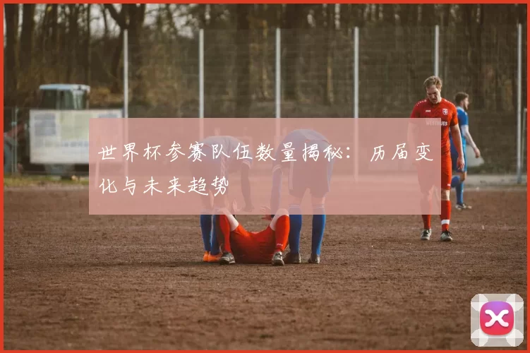 世界杯参赛队伍数量揭秘：历届变化与未来趋势